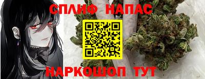 дмт Бийск