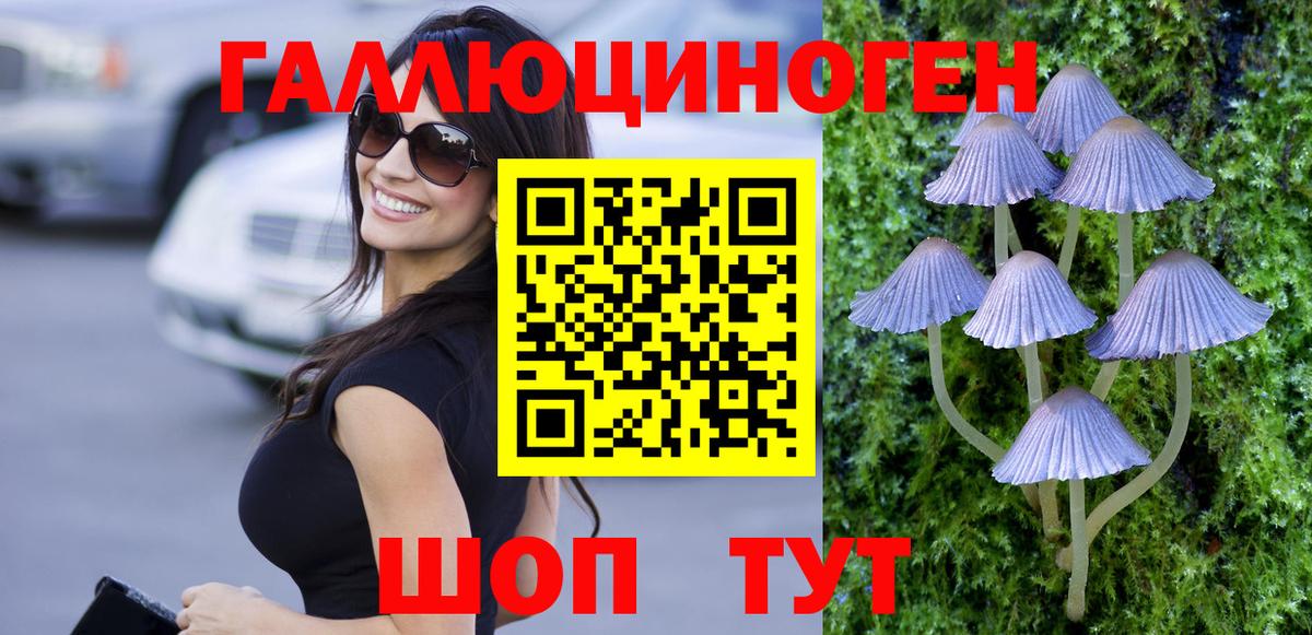 Галлюциногенные грибы Psilocybe  Вход с VPN  Жуковский 